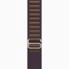 Watch Ultra 2 GPS Cellular 49mm Titanium Case With Indigo Alpine Loop 1.jpg